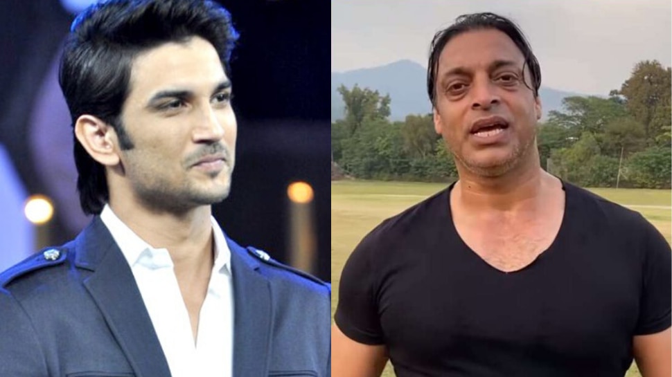 पाकिस्तानी क्रिकेटर Shoaib Akhtar ने कहा, मुझे अफसोस है कि मैंने Sushant Singh Rajput को उस वक्त नहीं रोका - Zee News Hindi