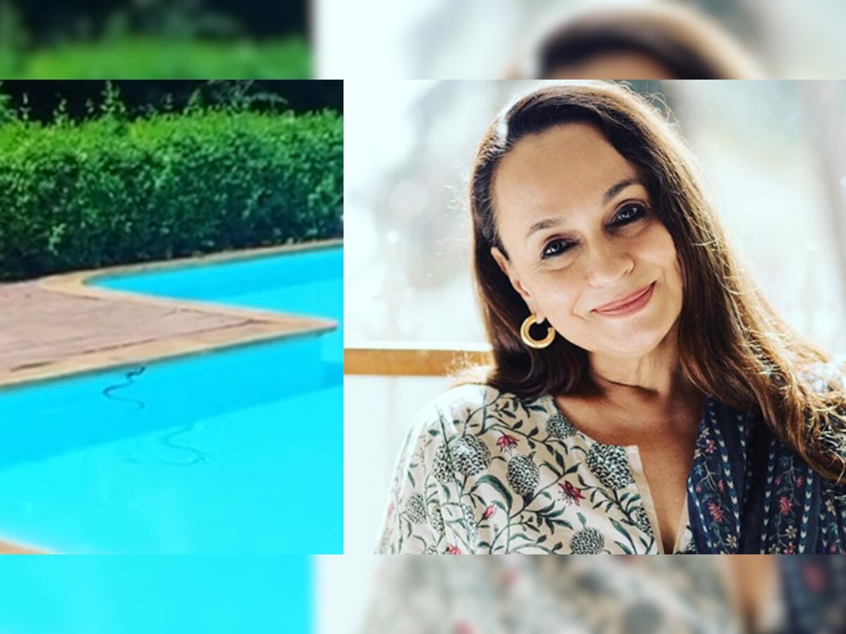 Alia Bhatt की मां Soni Razdan के स्वीमिंग पूल में मिला सांप, देखिए VIDEO