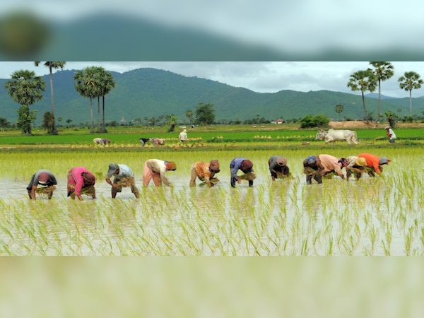 ଭୂମିହୀନ ଚାଷୀଙ୍କ ପାଇଁ ରାଜ୍ୟ ସରକାରଙ୍କ 'ବଳରାମ' ଯୋଜନା