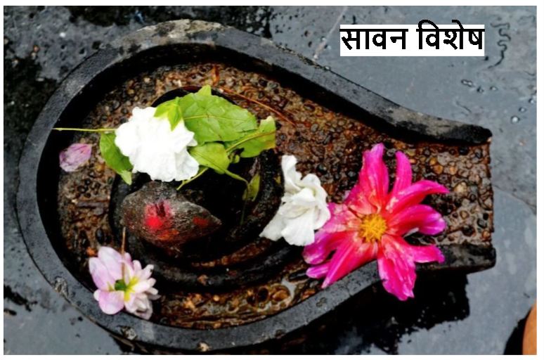 जानिए, क्यों महादेव को प्रिय हैं भांग, धतूरा, आक, बेल और दूध