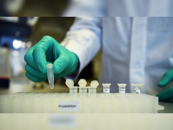 फाइल फोटो