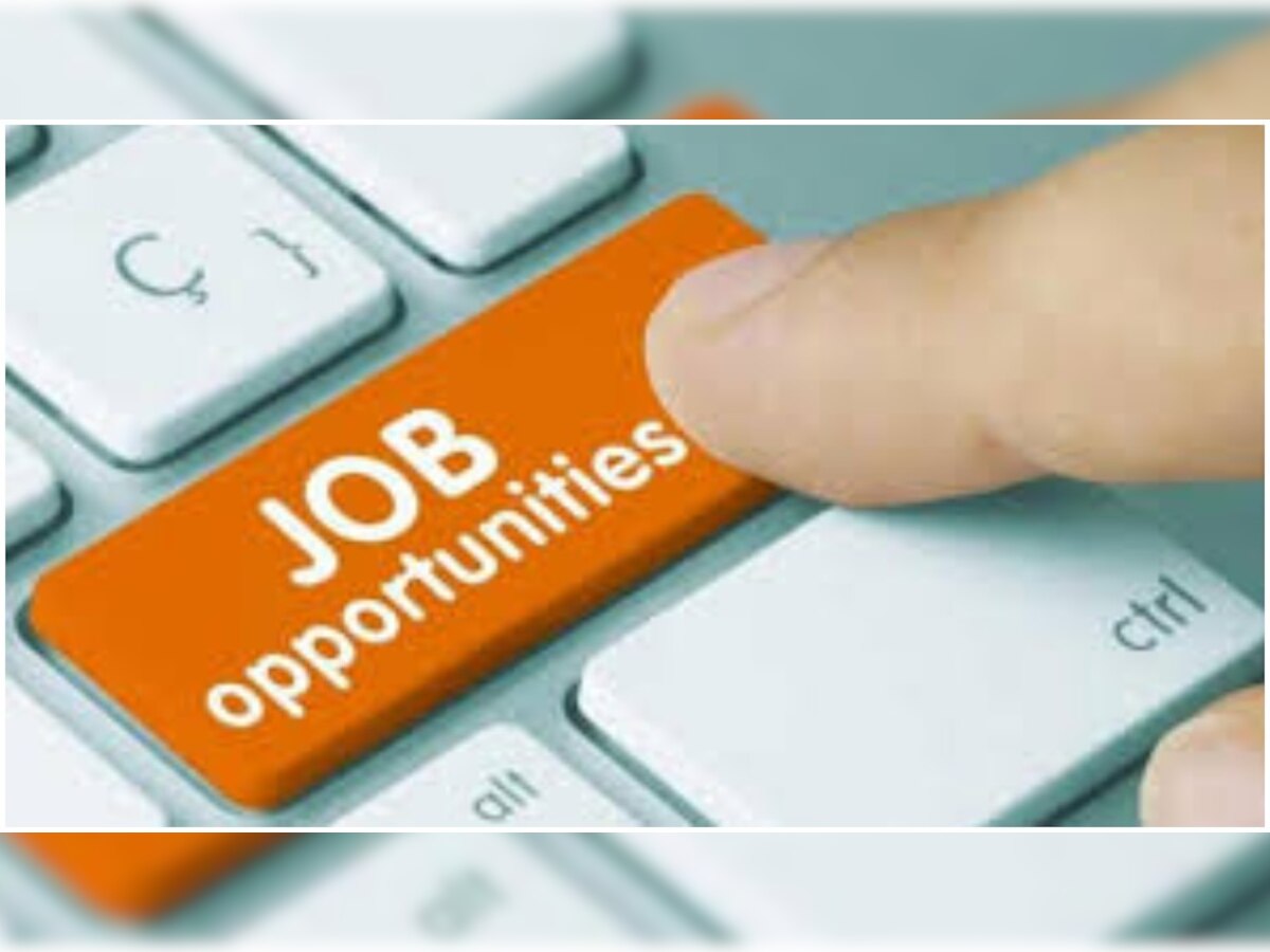 UPPCL Recruitment 2020: यूपीपीसीएल ने दिया सुनहरा मौका, 600 से ज्यादा पदों के लिए निकाली वैकेंसी