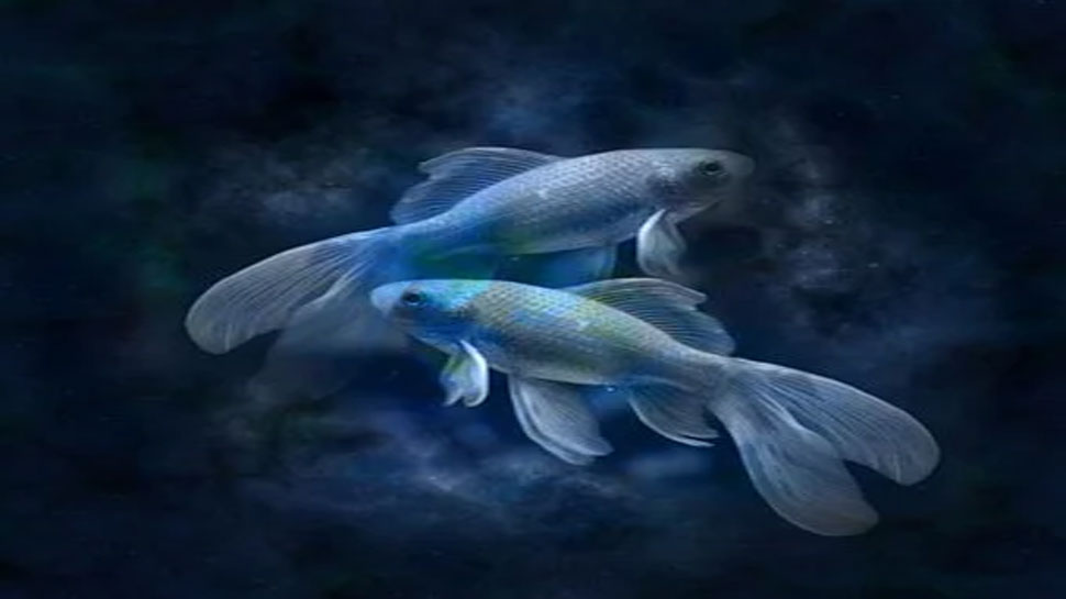 मीन Pisces