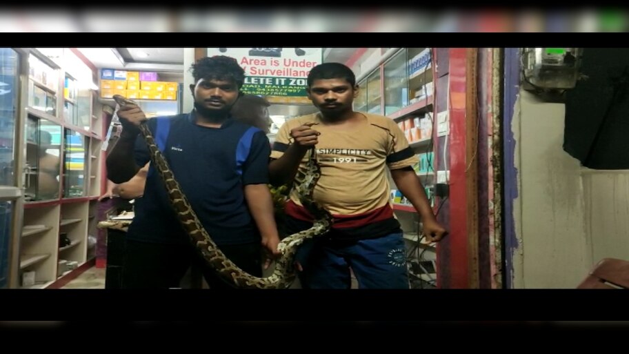 ୬ ଫୁଟ ଲମ୍ୱର ଅଜଗର ଉଦ୍ଧାର 