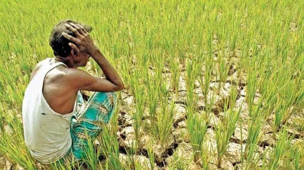 MP के किसानों पर मंडरा रहे संकट के बादल, सूख सकती है खरीफ की फसल