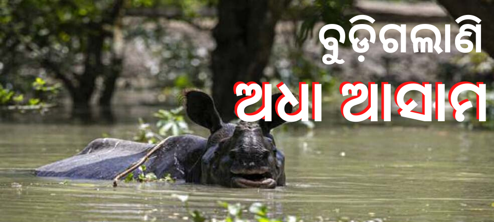 ଆସାମରେ ବନ୍ୟା ବିତ୍ପାତ, ଗଲାଣି ୧୦୦ରୁ ଊର୍ଦ୍ଧ୍ୱ ପଶୁଙ୍କ ଜୀବନ ଆସାମରେ ବନ୍ୟା ବିତ୍ପାତ, ଗଲାଣି ୧୦୦ରୁ ଊର୍ଦ୍ଧ୍ୱ ପଶୁଙ୍କ ଜୀବନ