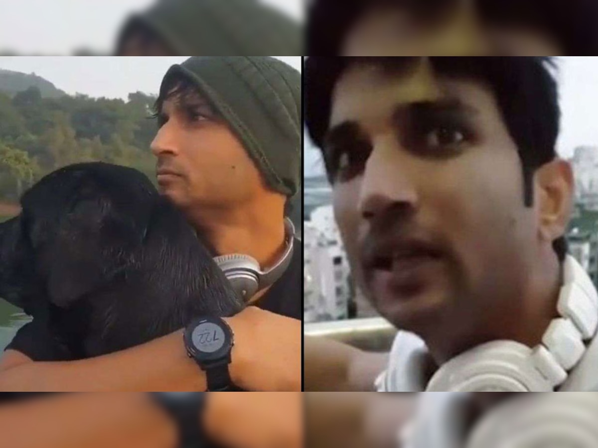 Sushant Singh Rajput की बहन श्वेता ने शेयर किया VIDEO, देखकर रो पड़े फैंस