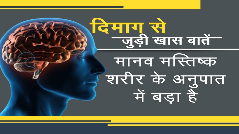एक 'चिप' जो आपके दिमाग के खराब हो चुके हिस्सों को सक्रिय कर देगी