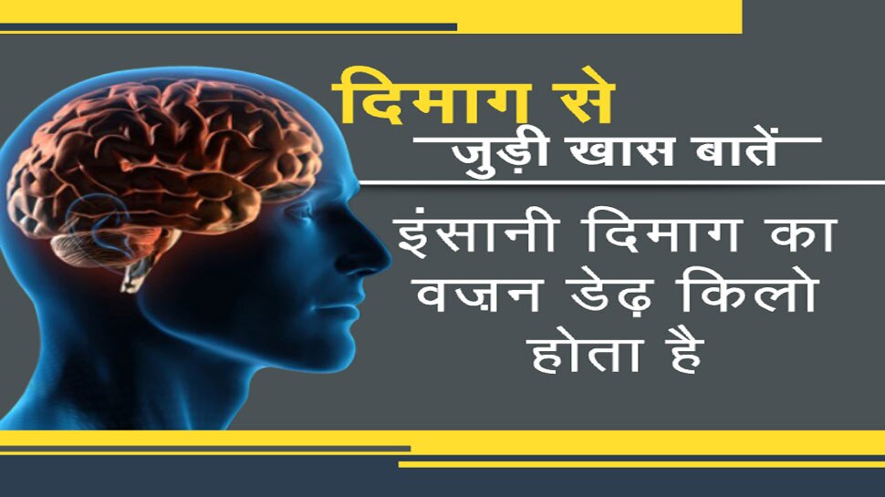 एक 'चिप' जो आपके दिमाग के खराब हो चुके हिस्सों को सक्रिय कर देगी