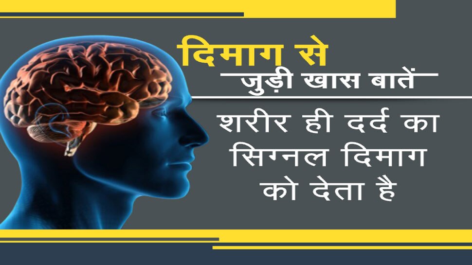 एक 'चिप' जो आपके दिमाग के खराब हो चुके हिस्सों को सक्रिय कर देगी