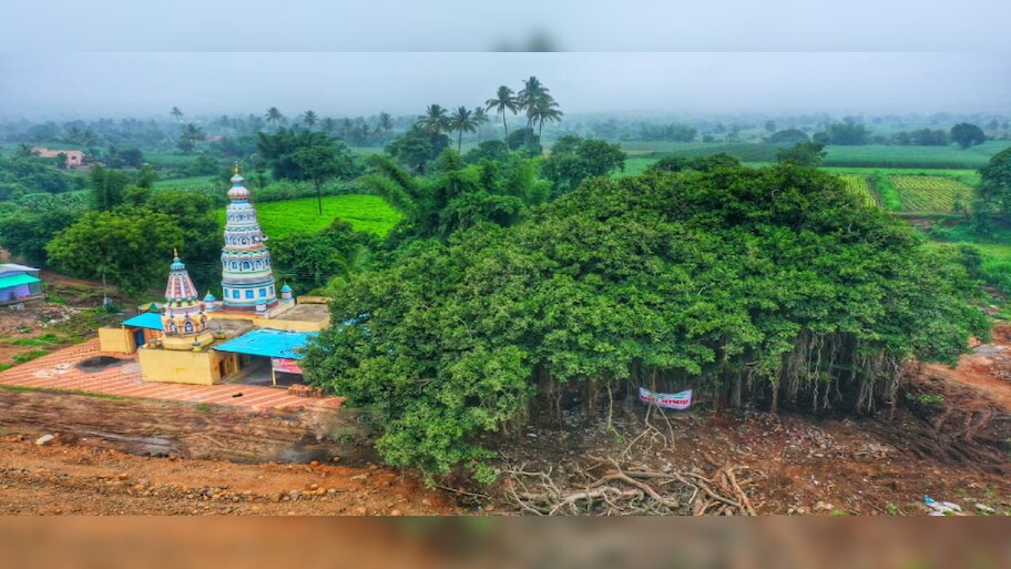 ୪୦୦ ବର୍ଷ ପୁରୁଣା ଗଛକୁ ବଞ୍ଚାଇବା ପାଇଁ ହାଇୱେ ପ୍ରକଳ୍ପରେ କରାଗଲା ପରିବର୍ତ୍ତନ