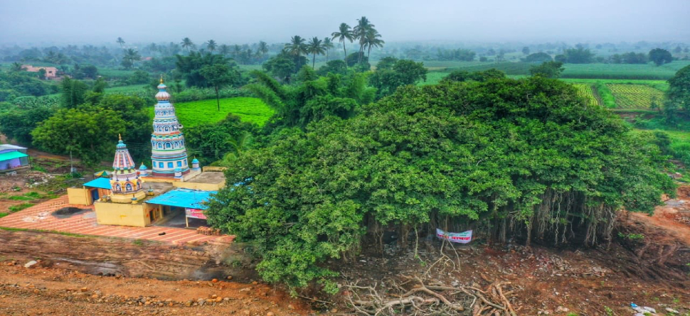 ୪୦୦ ବର୍ଷ ପୁରୁଣା ଗଛକୁ ବଞ୍ଚାଇବା ପାଇଁ ହାଇୱେ ପ୍ରକଳ୍ପରେ କରାଗଲା ପରିବର୍ତ୍ତନ ୪୦୦ ବର୍ଷ ପୁରୁଣା ଗଛକୁ ବଞ୍ଚାଇବା ପାଇଁ ହାଇୱେ ପ୍ରକଳ୍ପରେ କରାଗଲା ପରିବର୍ତ୍ତନ