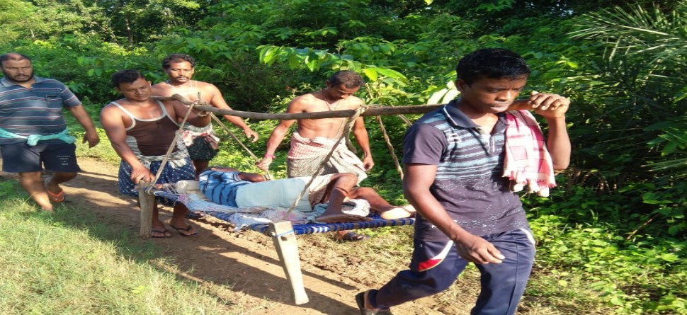 ଭାଲୁ ଆକ୍ରମଣରେ ଛଟପଟ ହେଉଥିଲେ ବୃଦ୍ଧ, କାଦୁଅ ରାସ୍ତାରେ ଅଟକି ରହିଥିଲା ଆମ୍ବୁଲାନ୍ସ ଭାଲୁ ଆକ୍ରମଣରେ ଛଟପଟ ହେଉଥିଲେ ବୃଦ୍ଧ, କାଦୁଅ ରାସ୍ତାରେ ଅଟକି ରହିଥିଲା ଆମ୍ବୁଲାନ୍ସ