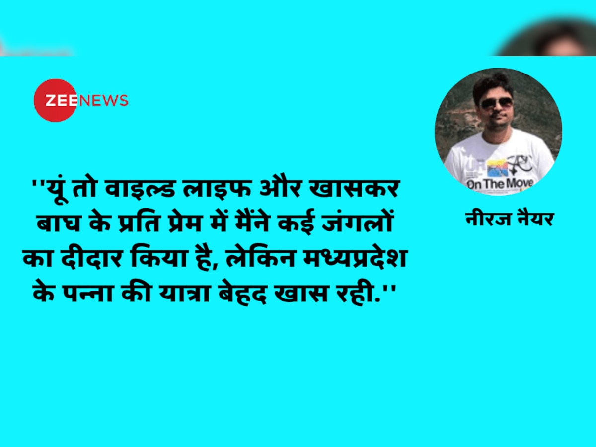 जंगल की वो हसीन सुबह, जब 'गुडबाय' कहने आया बाघ