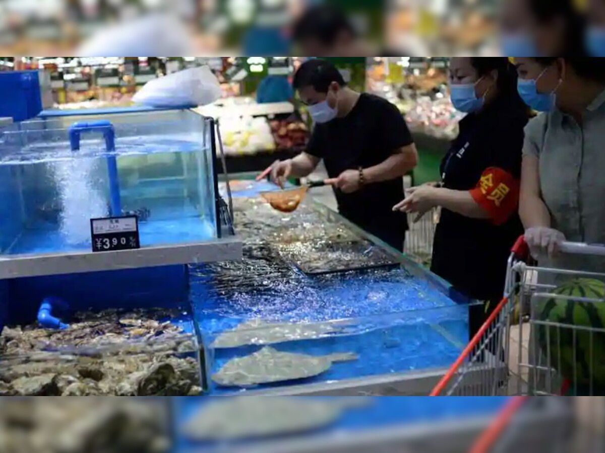 चीन की चिंता बढ़ी, अब फ्रोजन Sea Food में भी मिला कोरोना वायरस