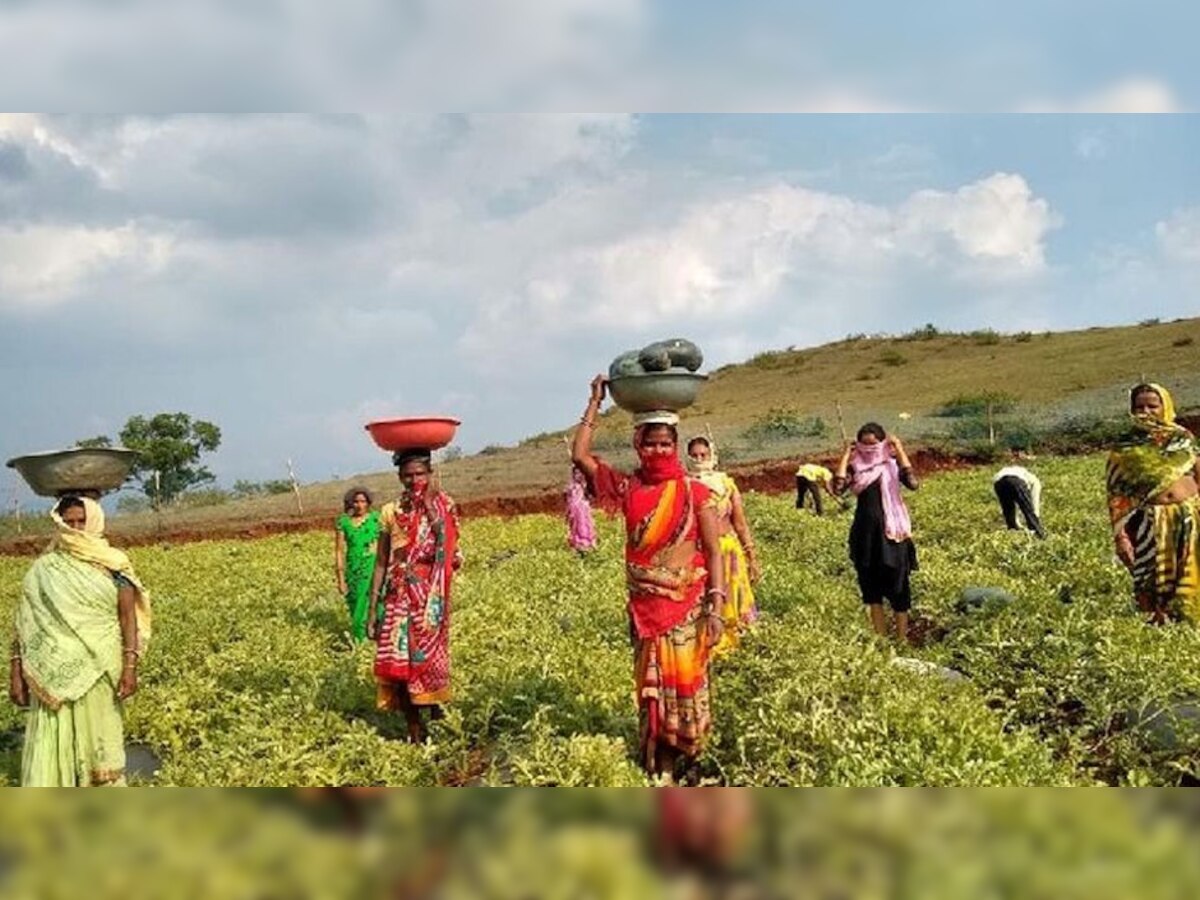 जम्मू-कश्मीर के नाम दर्ज हुआ एक और राष्ट्रीय पुरस्कार, किसानों को मिल रहा लाभ