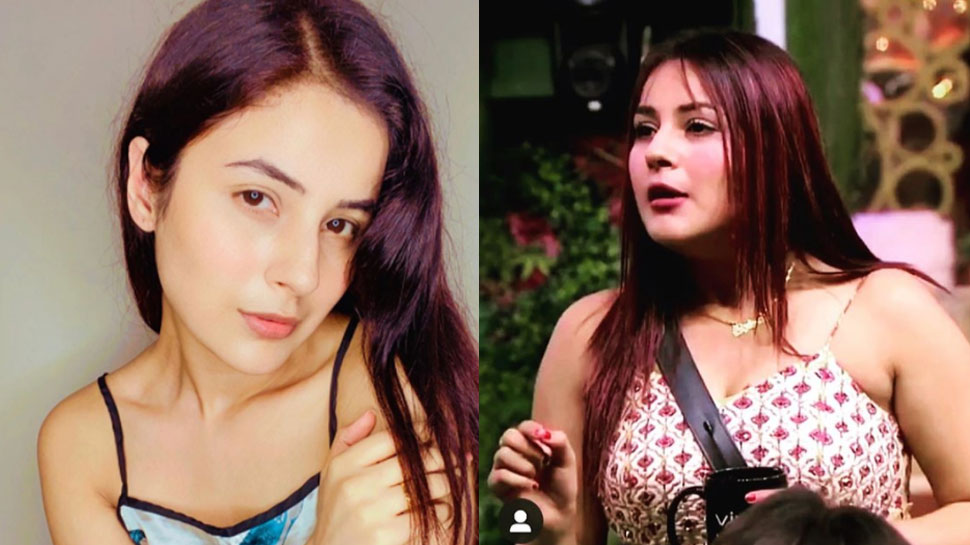 Bigg Boss 13 Fame Shehnaaz Gill Fans Surprised With Her Weight Loss ...