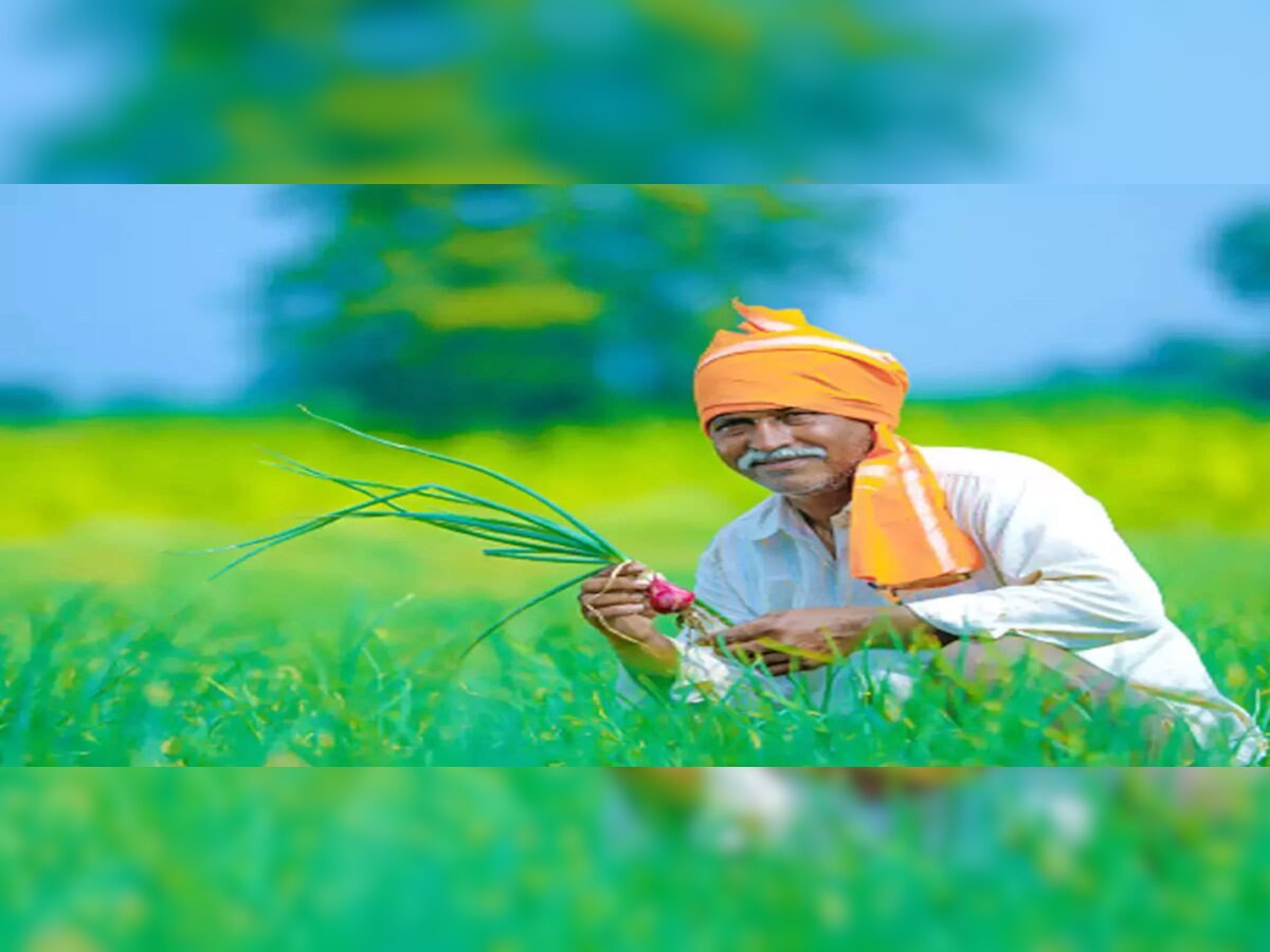 PM Kisan Scheme: ନଭେମ୍ୱର ସୁଦ୍ଧା ଆଉ ୧.୭ କୋଟି ଚାଷୀଙ୍କ ଖାତାକୁ ଆସିବ ୨୦୦୦ ଟଙ୍କା ! ଜାଣନ୍ତୁ କେମିତି ଉଠାଇବେ ଲାଭ