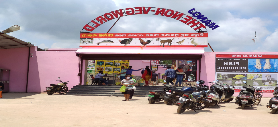 ରାଜଧାନୀରେ 'ଦି ନନ୍ ଭେଜ୍ ୱାର୍ଲ୍ଡ' ଆମିଷ ବଜାର, ଗୋଟିଏ ଜାଗାରେ ମିଳୁଛି ବିଶ୍ୱର ବିଭିନ୍ନ ପ୍ରକାରର ଆମିଷ ସାମଗ୍ରୀ ରାଜଧାନୀରେ 'ଦି ନନ୍ ଭେଜ୍ ୱାର୍ଲ୍ଡ' ଆମିଷ ବଜାର, ଗୋଟିଏ ଜାଗାରେ ମିଳୁଛି ବିଶ୍ୱର ବିଭିନ୍ନ ପ୍ରକାରର ଆମିଷ ସାମଗ୍ରୀ