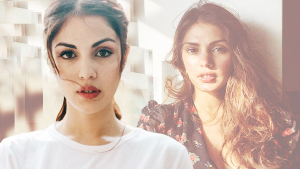 वायरल हो रहा Rhea Chakraborty का ये पुराना ट्वीट, लोगों ने कहा- 'खुद की अपनी भविष्यवाणी' वायरल हो रहा Rhea Chakraborty का ये पुराना ट्वीट, लोगों ने कहा- 'खुद की अपनी भविष्यवाणी'