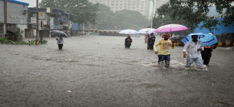 Odisha Weather Update: ରାଜ୍ୟରେ ୨୪ ଘଣ୍ଟାରେ ଲଘୁଚାପ, ସେପ୍ଟେମ୍ୱର ୧୪ ଯାଏ ବର୍ଷା ସମ୍ଭାବନା Odisha Weather Update: ରାଜ୍ୟରେ ୨୪ ଘଣ୍ଟାରେ ଲଘୁଚାପ, ସେପ୍ଟେମ୍ୱର ୧୪ ଯାଏ ବର୍ଷା ସମ୍ଭାବନା