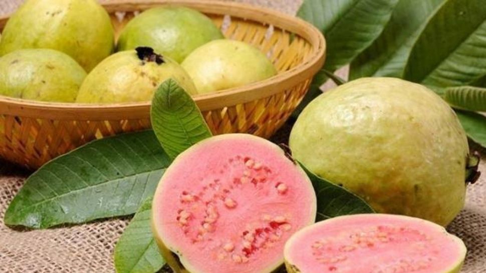 अमरुद के पत्ते Guava leaves
