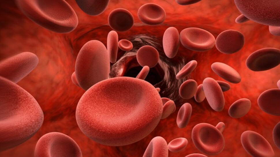 हीमोग्लोबिन के स्तर को बेहतर करता है hemoglobin