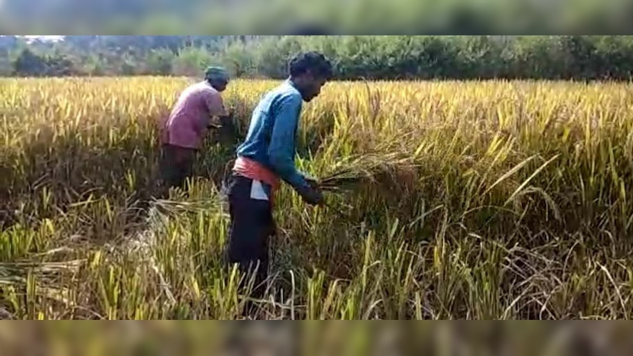 ଚାଷୀଙ୍କ ପାଇଁ ନାହିଁ ୱେର ହାଉସ ବ୍ୟବସ୍ଥା