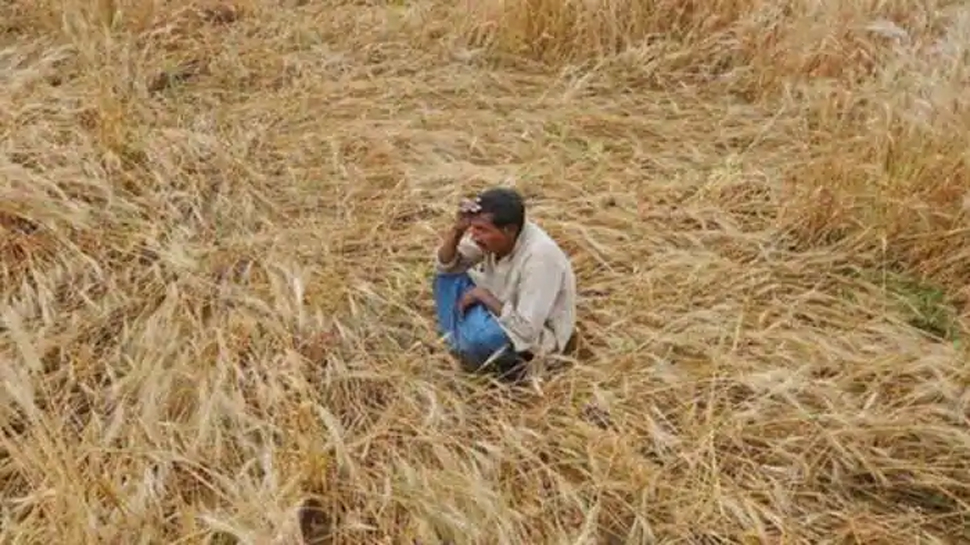 फाइल फोटो फाइल फोटो