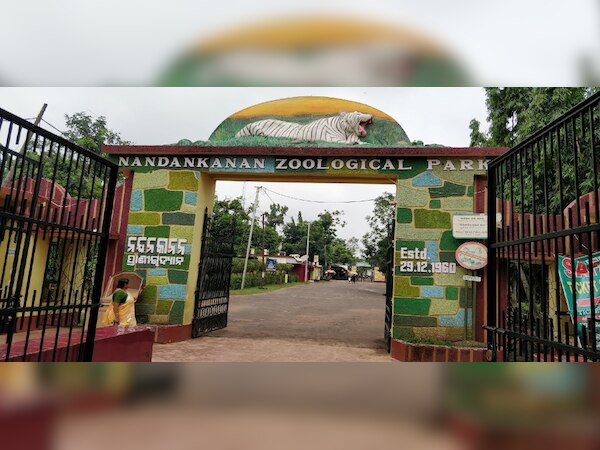 ୭ ମାସ ପରେ ନନ୍ଦନକାନନ ବୁଲିଲେ ପର୍ଯ୍ୟଟକ