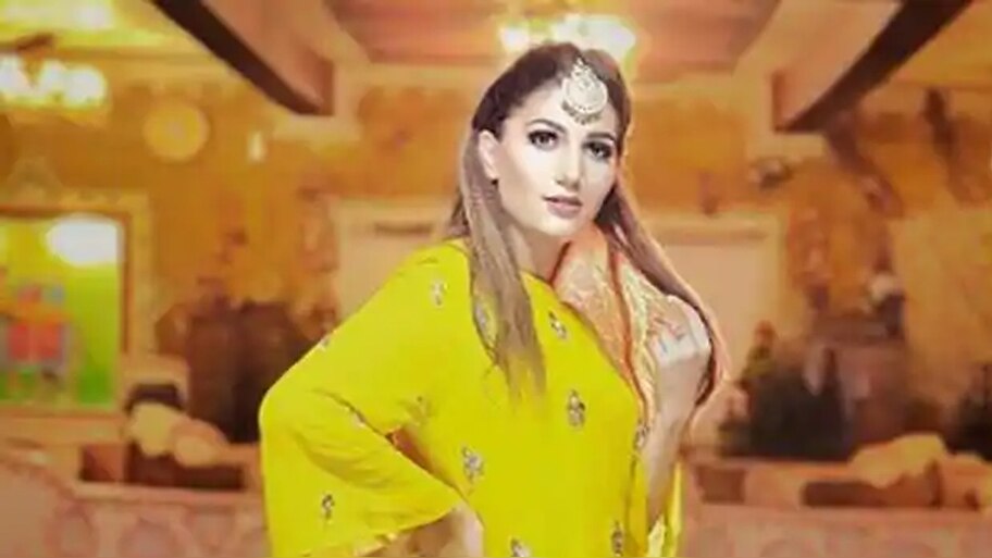 मां बनीं हरियाणवी डांसर सपना चौधरी, बेटे को दिया जन्म, इस सिंगर से की थी शादी
