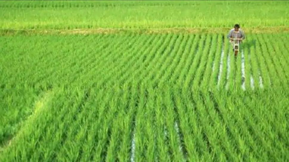 This Document Is Mandatory For PM Kisan Scheme 