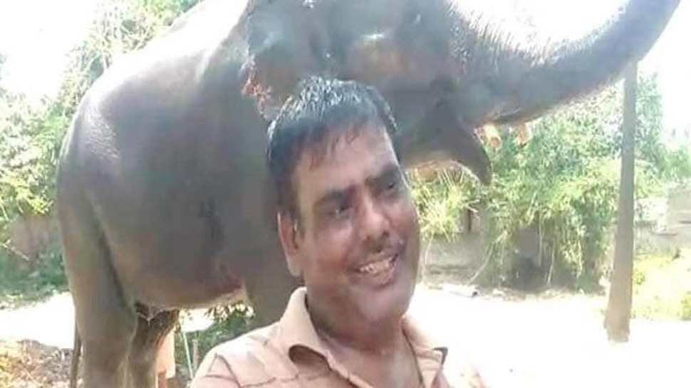 इमाम अख्तर ने हाथियों के नाम की 5 करोड़ की जायदाद, जानिए क्या है वजह इमाम अख्तर ने हाथियों के नाम की 5 करोड़ की जायदाद, जानिए क्या है वजह