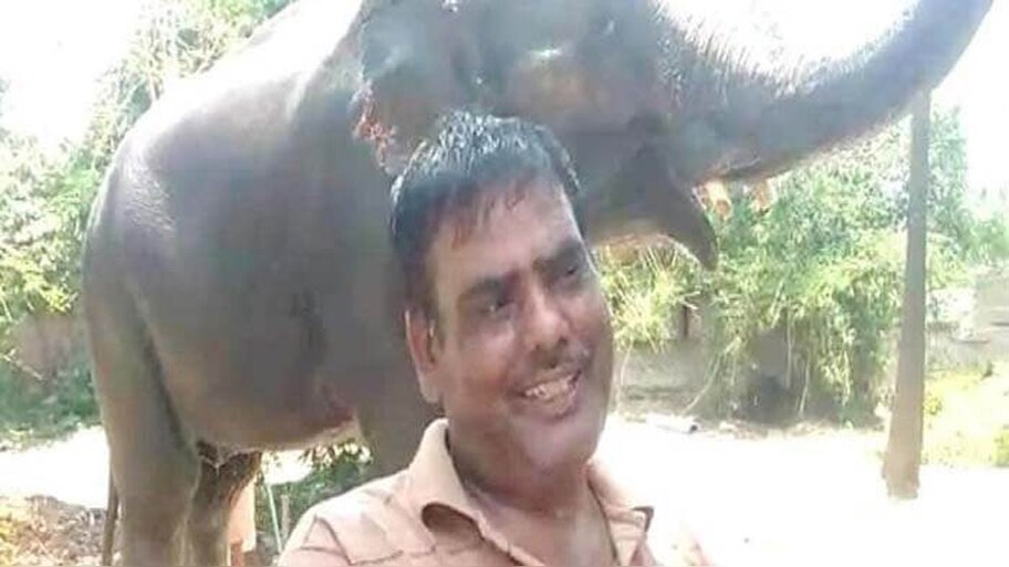 इमाम अख्तर ने हाथियों के नाम की 5 करोड़ की जायदाद, जानिए क्या है वजह