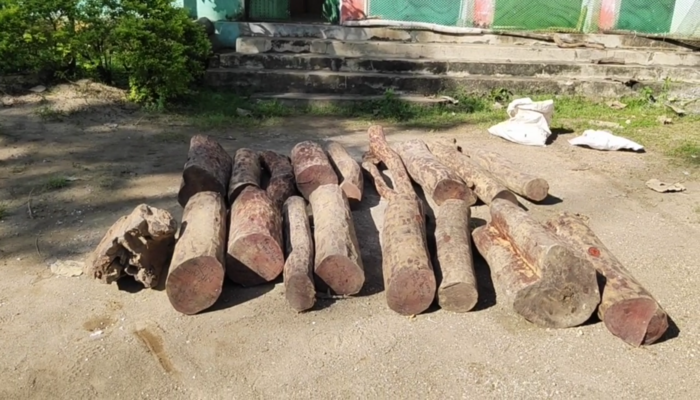 ରକ୍ତ ଚନ୍ଦନ କାଠ ଜବତ ଘଟଣା; ୫ ଦିନ ପରେ ପୋଲିସ ହାତ ଖାଲି ରକ୍ତ ଚନ୍ଦନ କାଠ ଜବତ ଘଟଣା; ୫ ଦିନ ପରେ ପୋଲିସ ହାତ ଖାଲି