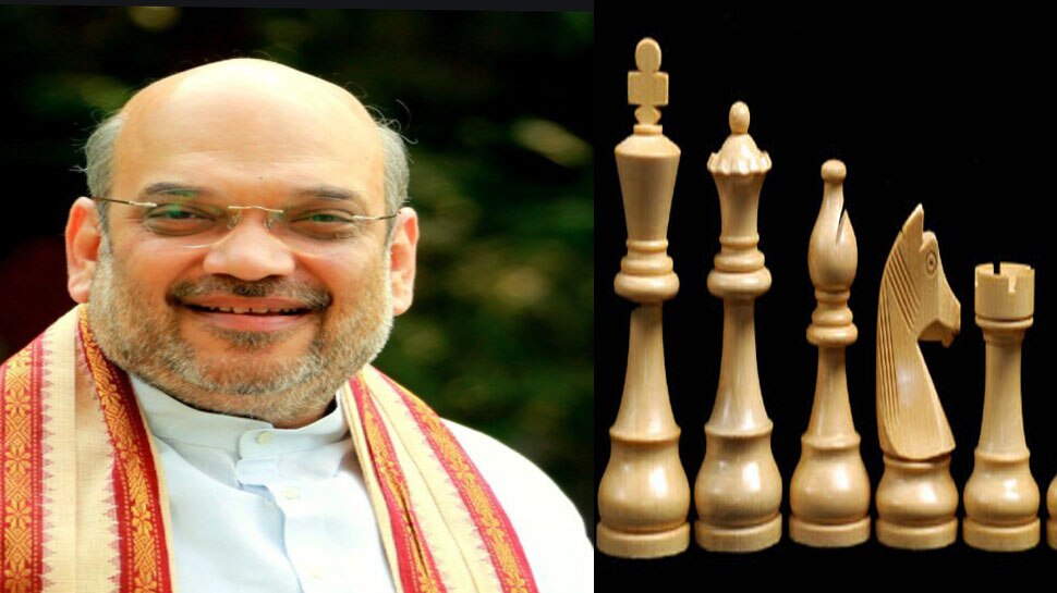 शतरंज के शौकीन शाह Chess Player Shah