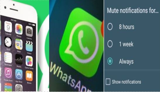 Whatsapp में आया नया फीचर, permanent mute कर सकेंगे अनचाहे Groups के Notifications