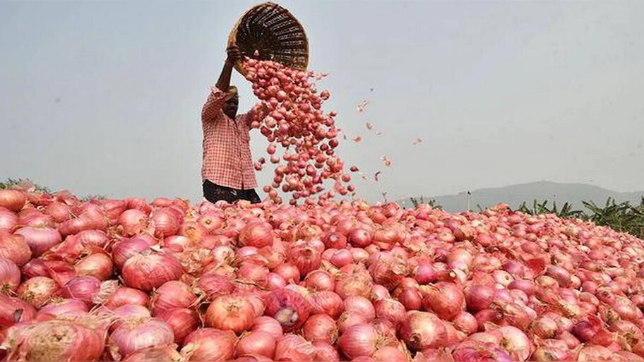 कालाबाजारी करने वाले रोएंगे प्याज के आंसू ! सरकार ने उठाया यह कदम