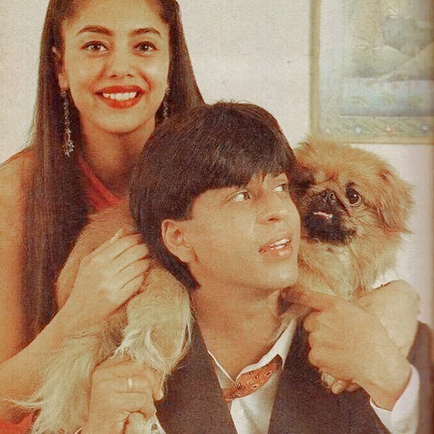 कभी लव बर्ड्स थे शाहरुख और गौरी love birds shahrukh and gauri