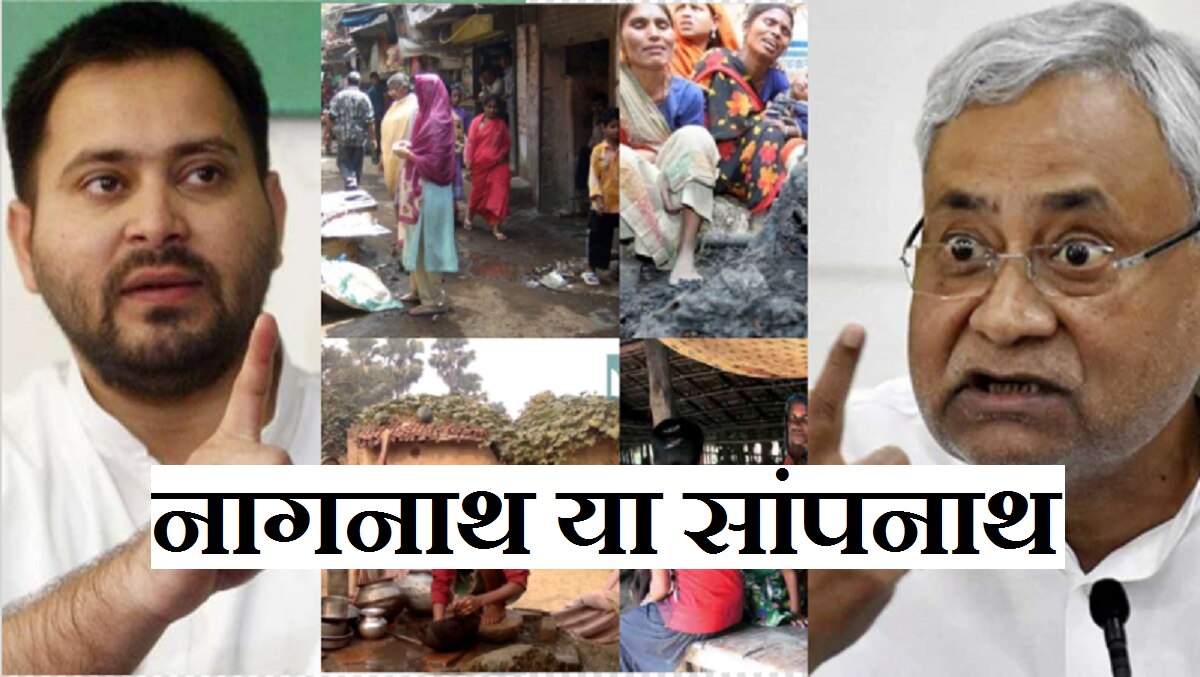 Bihar elction2020: नागनाथ और सांपनाथ के बीच झूल रहा बिहार?
