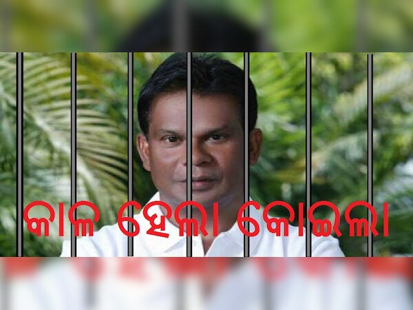 ଡିଜାଇନ ଫଟୋ