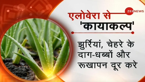 yogi weißer tee mit aloe vera Weißer Tee mit Aloe Vera 17 Stück – Pharmeden Limited main image 1