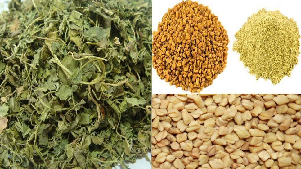 मेथी एक फायदे अनेक Fenugreek Importance