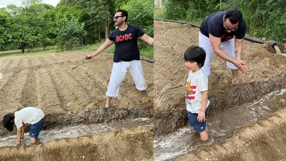 Taimur Ali Khan Farming With His Father Saif Ali Khan See Photos | पिता Saif  Ali Khan के साथ खेती करते दिखे Taimur Ali Khan, देखें PHOTOS | Hindi News,  बॉलीवुड