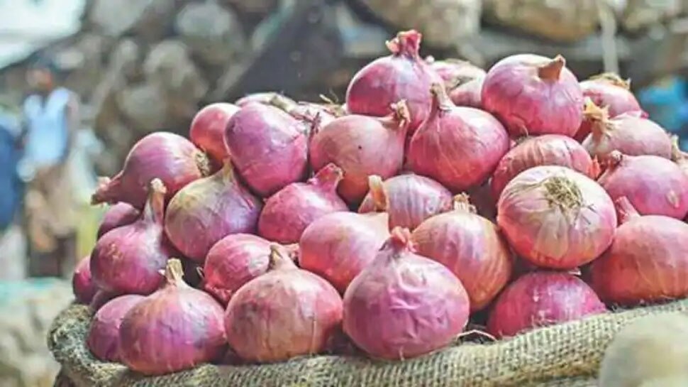 One thousand quintal onion of Turkistan reached in Maharashtra