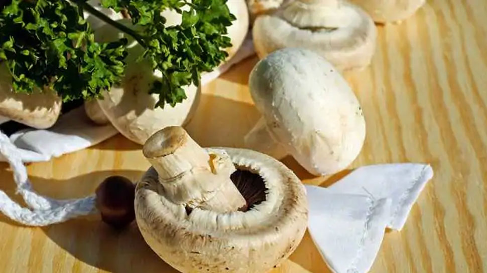 Know The Benefits Of Eating Mushrooms In Zee Adhyatm Zee अध य त म म ज न ए मशर म ख न क फ यद इन र ग क रखत ह द र Hindi News स हत