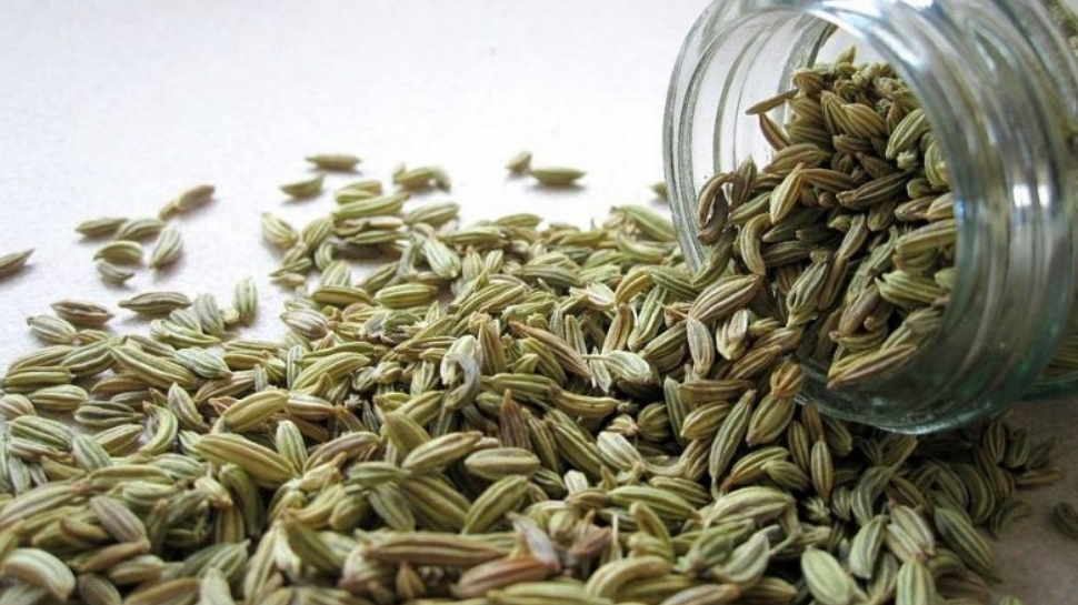 benefits to drinking anise water for health सौंफ के ये फायदे नहीं