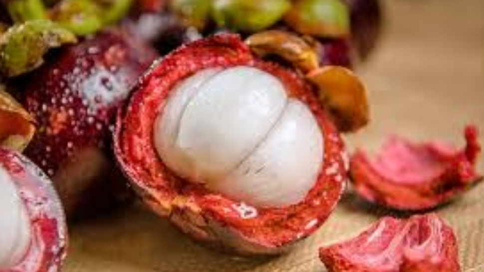 Many benefits of eating mangosteen by nutrients and vitamins plenty