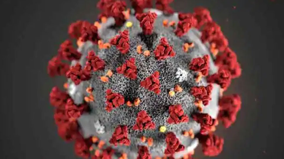 2020 में सबसे ज्यादा हुआ Coronavirus, Lockdown और WFH शब्दों का इस्तेमाल, जानिए ग्लोबल ट्रेंड 2020 में सबसे ज्यादा हुआ Coronavirus, Lockdown और WFH शब्दों का इस्तेमाल, जानिए ग्लोबल ट्रेंड
