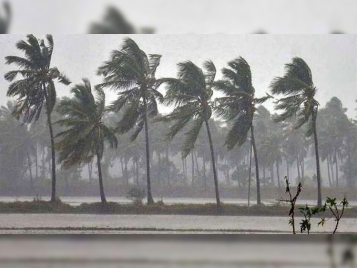 इन इलाकों में शुरू हुआ तूफान Nivar का असर, 110km फी घंटे की रफ्तार चल सकती हैं हवाएं